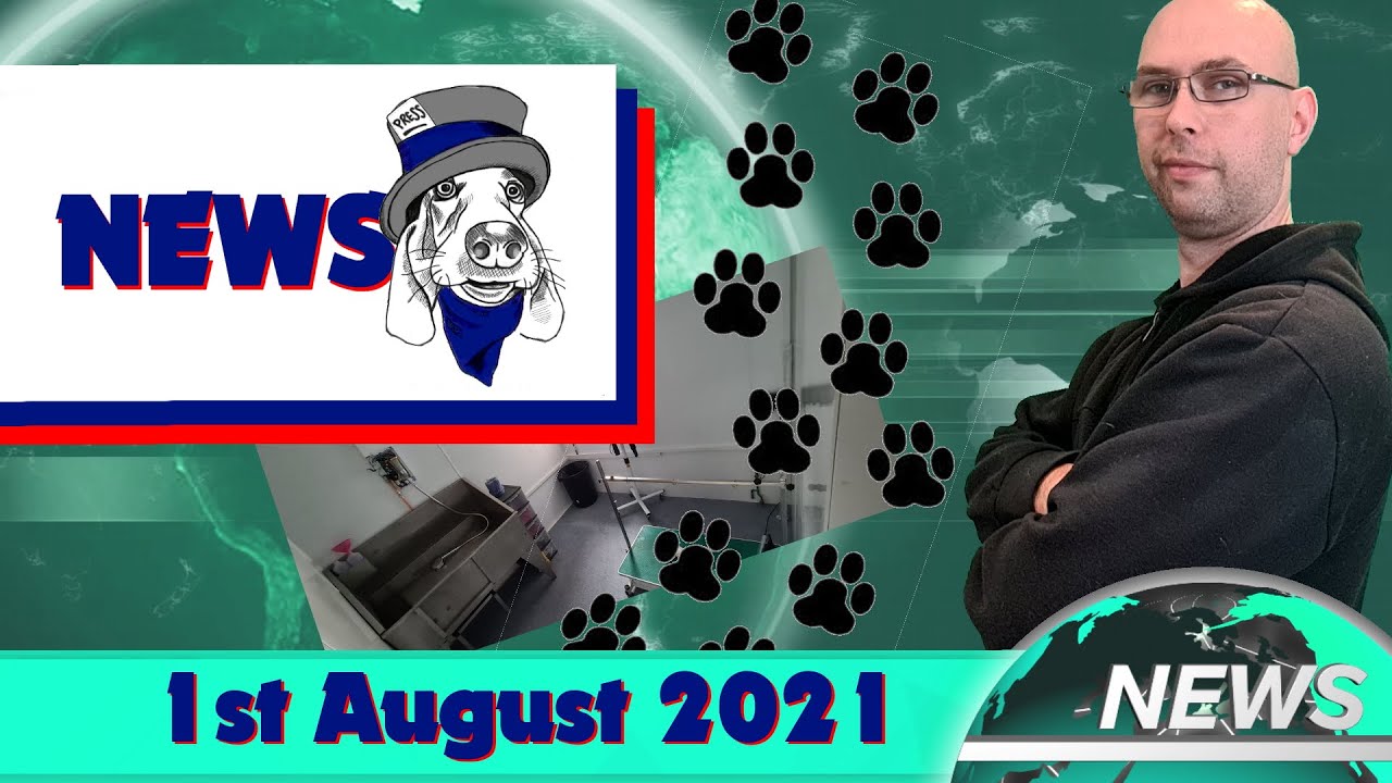 Small Steps to Small Setup - Staceys Dog Grooming News 01/08/21