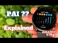 What Is PAI? Personal Activity Index On Amazfit GTR3 PRO Smartwatches Explained