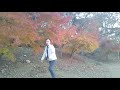 福岡県久留米、高良山の紅葉、松田聖子、吉田羊、チェッカーズ、ゆかりの地。