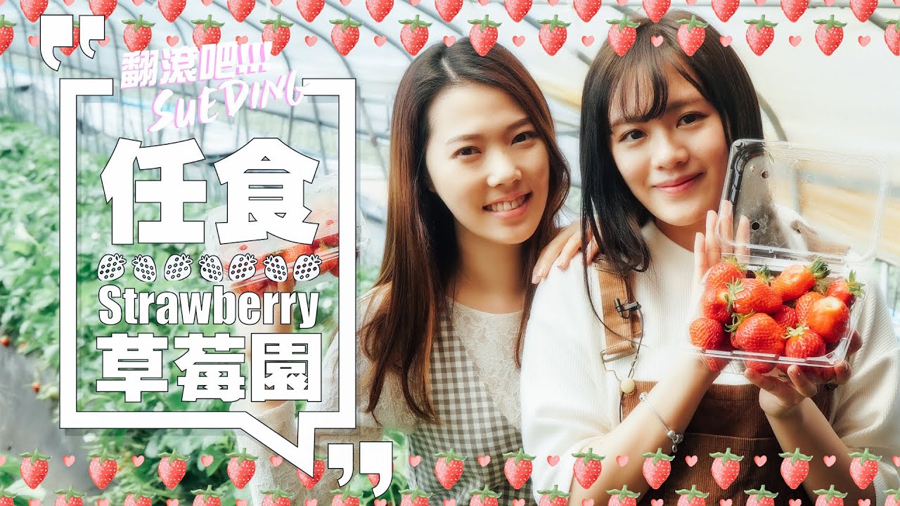 翻滾吧!!!SueDing EP01 - 任食Strawberry草莓園