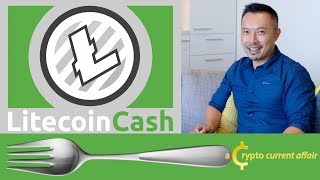 HOW TO prepare for a coin fork - Litecoin Cash & Sydney Crypto Traders Meet Up - Ep12 screenshot 4