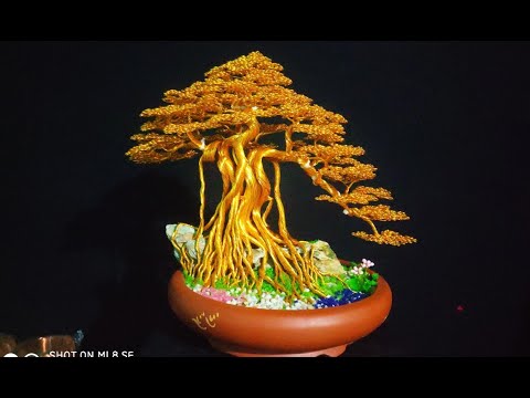Video Hướng dẫn làm bonsai cây đa dáng cổ.làm bonsai dáng đa... - youtube