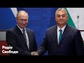 Віктор Орбан, Путін та Україна. Вибори в Угорщині – чого очікувати Україні?