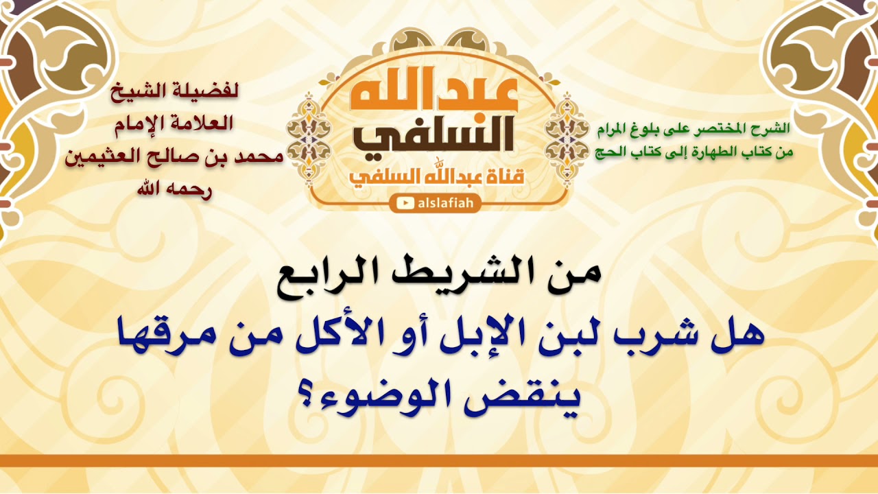 الشيخ ابن عثيمين : هل شرب لبن الإبل أو الأكل من مرقها ينقض الوضوء؟