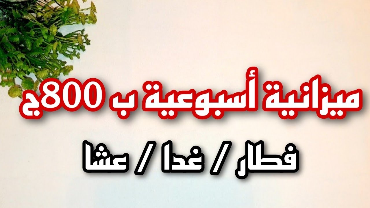 ميزانية اسبوعية ب 800ج شاملة فطار/غدا/عشا ل ٤ افراد 👌