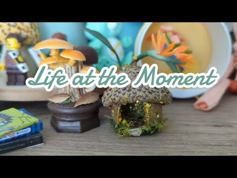 Kimmy696's Life-Changing Moment