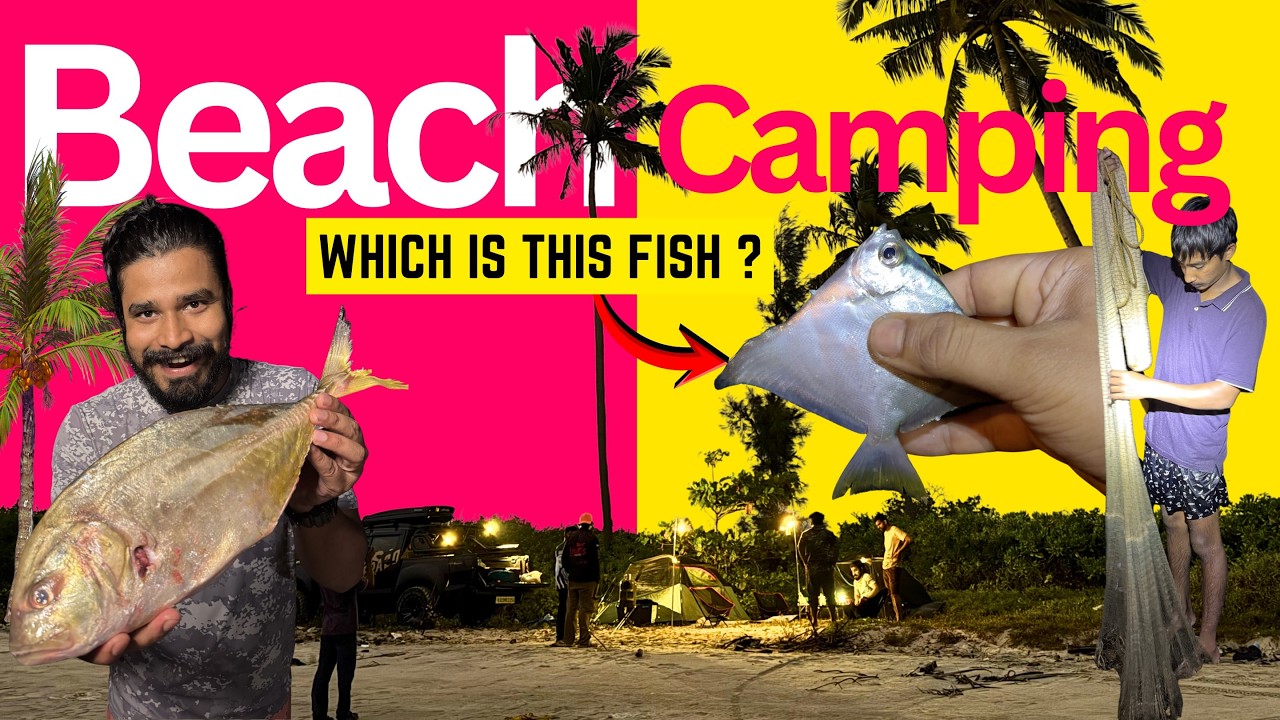 Rod Fishing Failed… Cast Net Saved the Night! 🌊🎣🔥 @TRIPTHEWILD