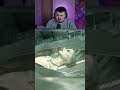 Batman gets Jumpscared...