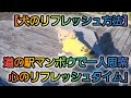 【犬のリフレッシュ方法】道の駅マンボウで一人思索！心のリフレッシュタイム」