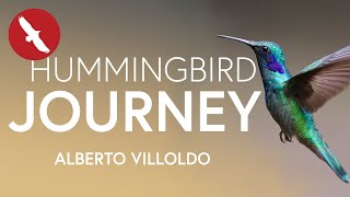 The Hummingbird JOURNEY - Alberto Villoldo