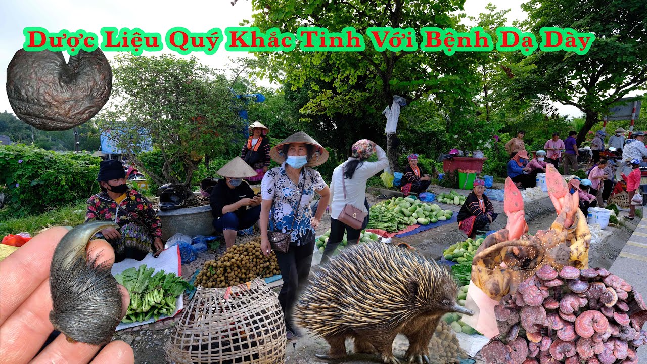 CHỢ MƯỜNG THANH ĐIỆN BIÊN Đã Tìm Được Thần Dược | Miền núi tây bắc