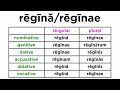 Understanding Latin First Declension Concepts