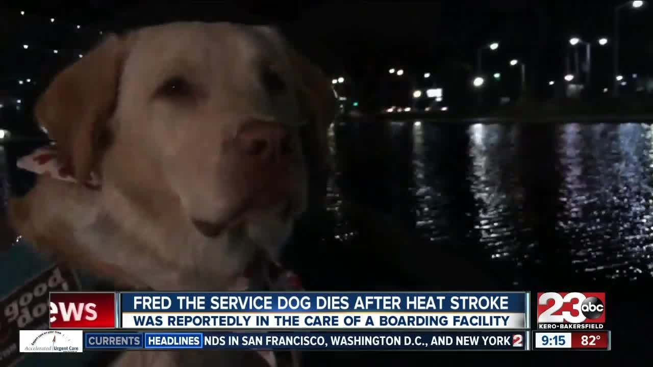 Fred the Service Dog dies after heat stroke