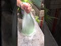 Little B (Working Hard) #DecompressionHealingVideo #Slime #ExtremelyComfortable