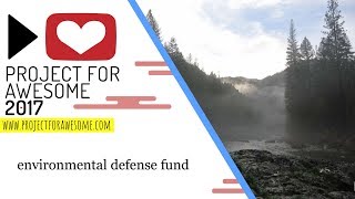 Project for Awesome 2017-Environmental Defense Fund