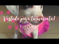 Vestido para perrita a crochet tutorial paso a paso