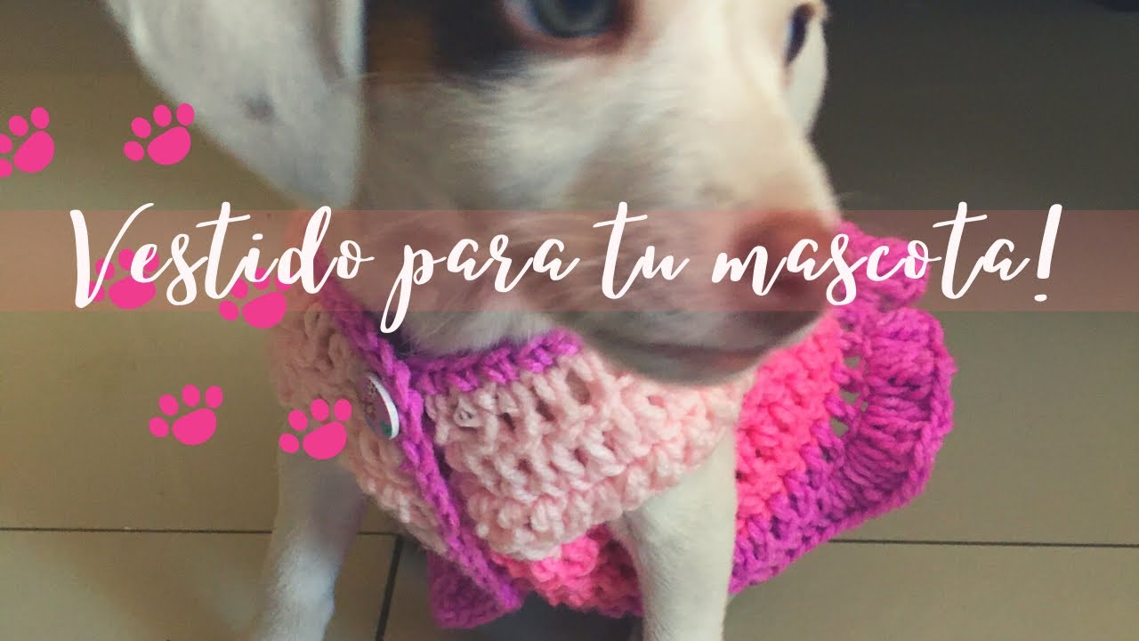 Vestido para perrita a crochet tutorial a paso - YouTube