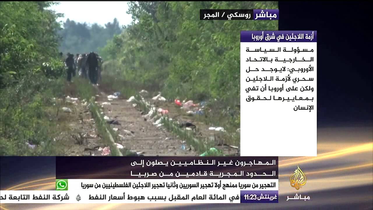 مباشر المجر ..المهاجرون غير النظاميين يصلون إلى الحدود المجرية قادمين من صربيا