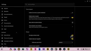 Low Vision Access - Chromebook Accessibility