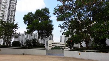 Walkera V450D03 Crashed w/ Unknown Reason!  2013-09-16