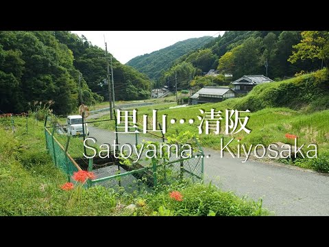 山を越えたら里山・・・清阪【田舎散歩】(大阪府茨木市)Once you cross the mountain, you'll reach Satoyama... Kiyosaka