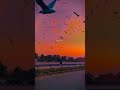 tag your love 🥰💞 WhatsApp status #shorts #status