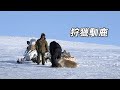阿拉斯加零度以下的生活 連續收穫四隻馴鹿 狩獵松雞改善伙食 空運一盒藥1000美元 紀錄片 阿拉斯加零度以下的生活 連續收穫四隻馴鹿 狩獵松雞改善伙食 空運一盒藥1000美元 紀錄片