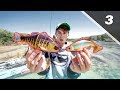 Fishing GIANT Swimbaits in Crystal Clear River│Devils River Series Pt. 3