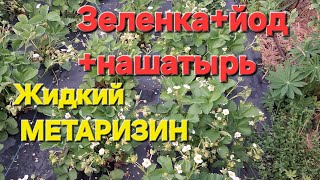 Жидкий Метаризин от личинок майского жука!!!Подкормка по цветению..