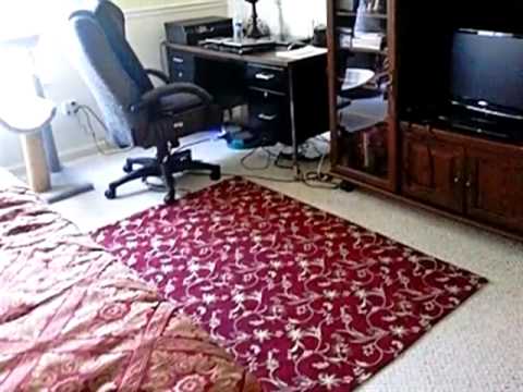 807 Stradford Cir, Buffalo Grove, IL home video tour