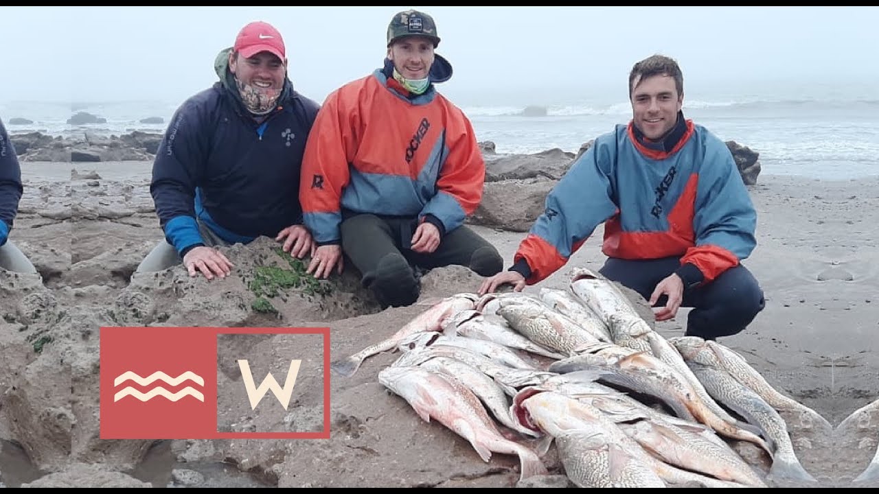 LA Pesca de corvinas. 𝙇𝙇𝙀𝙂𝘼𝙍𝙊𝙉.