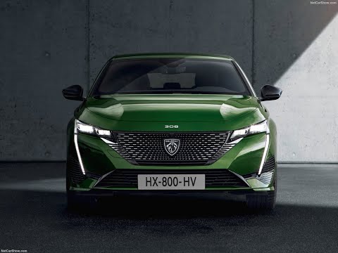 Grasshopper Parametric Pattern - Peugeot 308 Front Grille