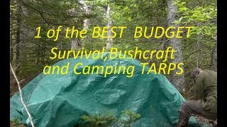 1 of the BEST BUDGET Survival, Bushcraft and Camping TARP, IMHO