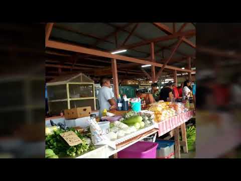 Video: Tegnologie Om Saailinge Van Groente Te Plant