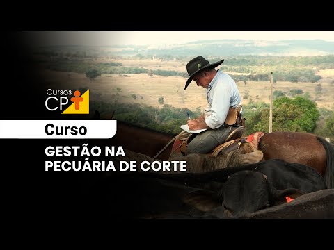 Cursos Gestão Empresarial - Cursos CPT