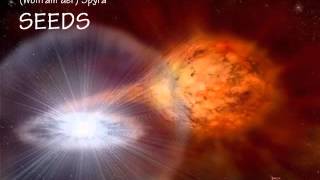Wolfram Spyra - SEEDS