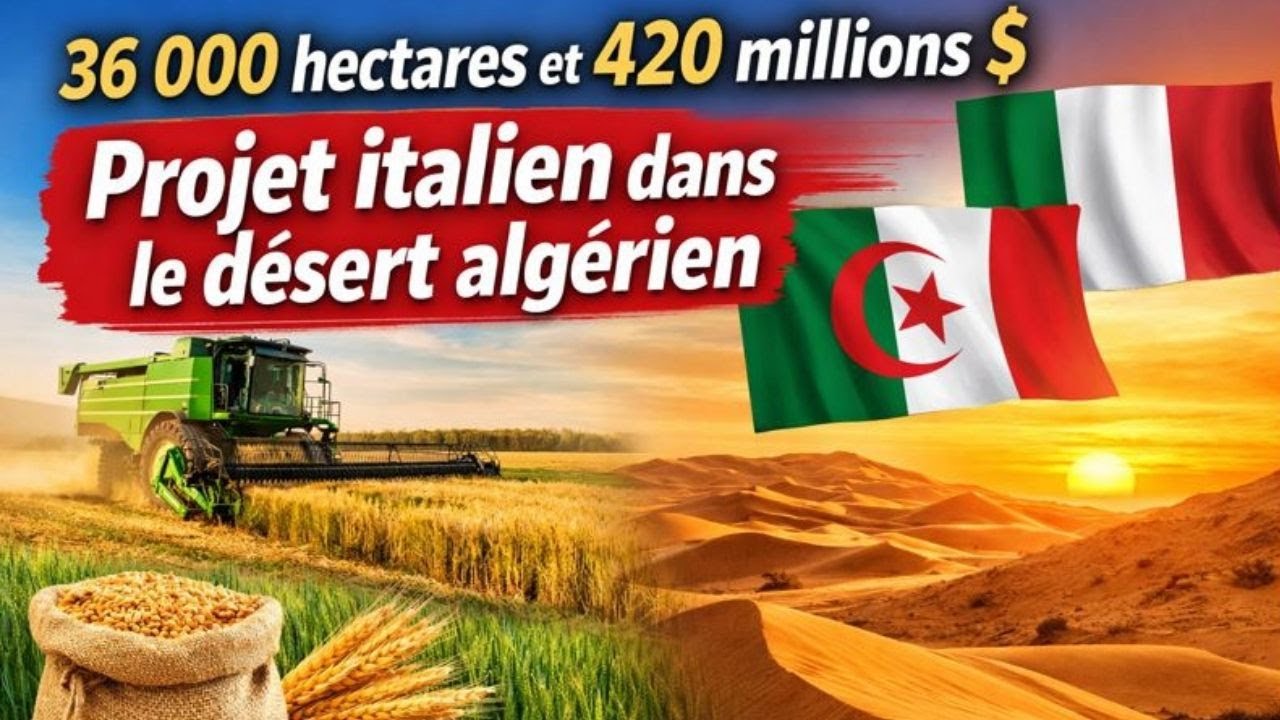 36 000 hectares et 420 millions $ projet italien dans le désert algérien qui change l’agriculture