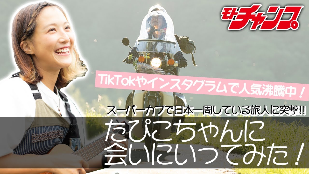 スーパーカブで日本一周している噂のたぴこちゃんに会いに行ってみた