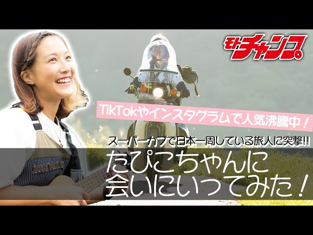 スーパーカブで日本一周している噂のたぴこちゃんに会いに行ってみた