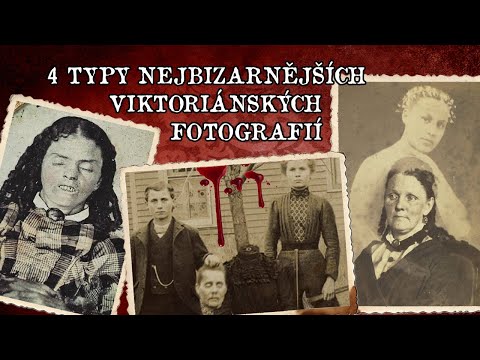 Video: Rozdíl Mezi Teplokrevnými A Chladnokrevnými Zvířaty