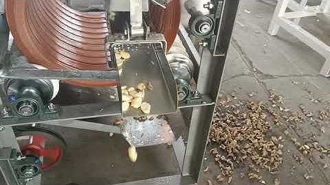 Wet Method Fava Bean Peeler Peeling Machine Broad Bean Bran Remover