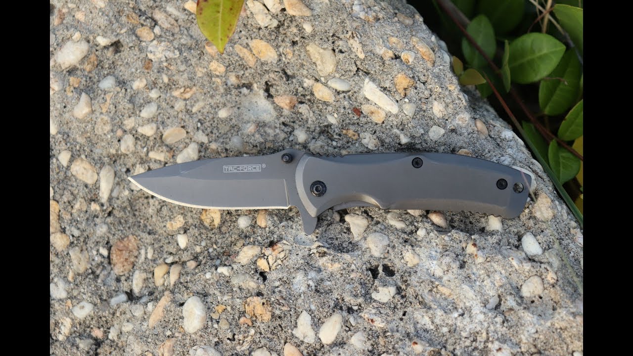 Tac Force TF848 Spring Assist Folding Knife, Grey Titanium Straight