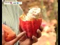Information about Cocoa Cultivation  Manorama News - YouTube