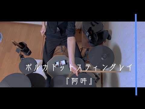 阿吽 / ポルカドットスティングレイ【Drum Cover】