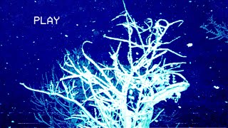 DARKFATINTROTHENIGHTINSTRUMENTAL