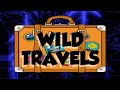 Wild travels demo season two