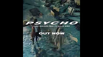 Post Malone x ty dollar sign psycho