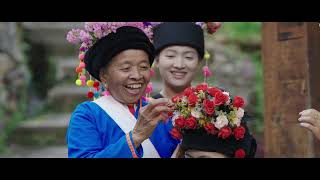 Pu'er Jingmai Mountain Ancient Tea Forest Cultural Landscape