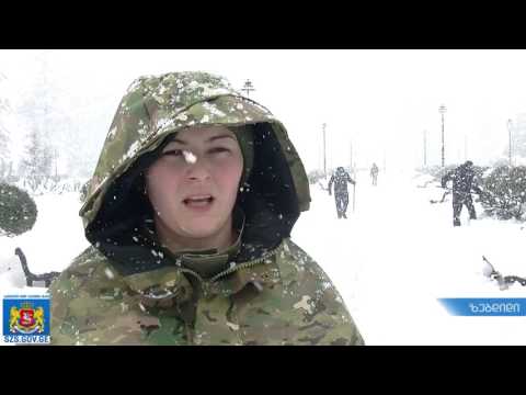 თოვლისგან გაწმენდით საუშაოები