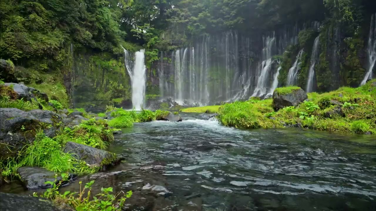 Waterfall & Birds Singing 🌿 Gentle Forest Ambience (No Mid-Roll Ads)